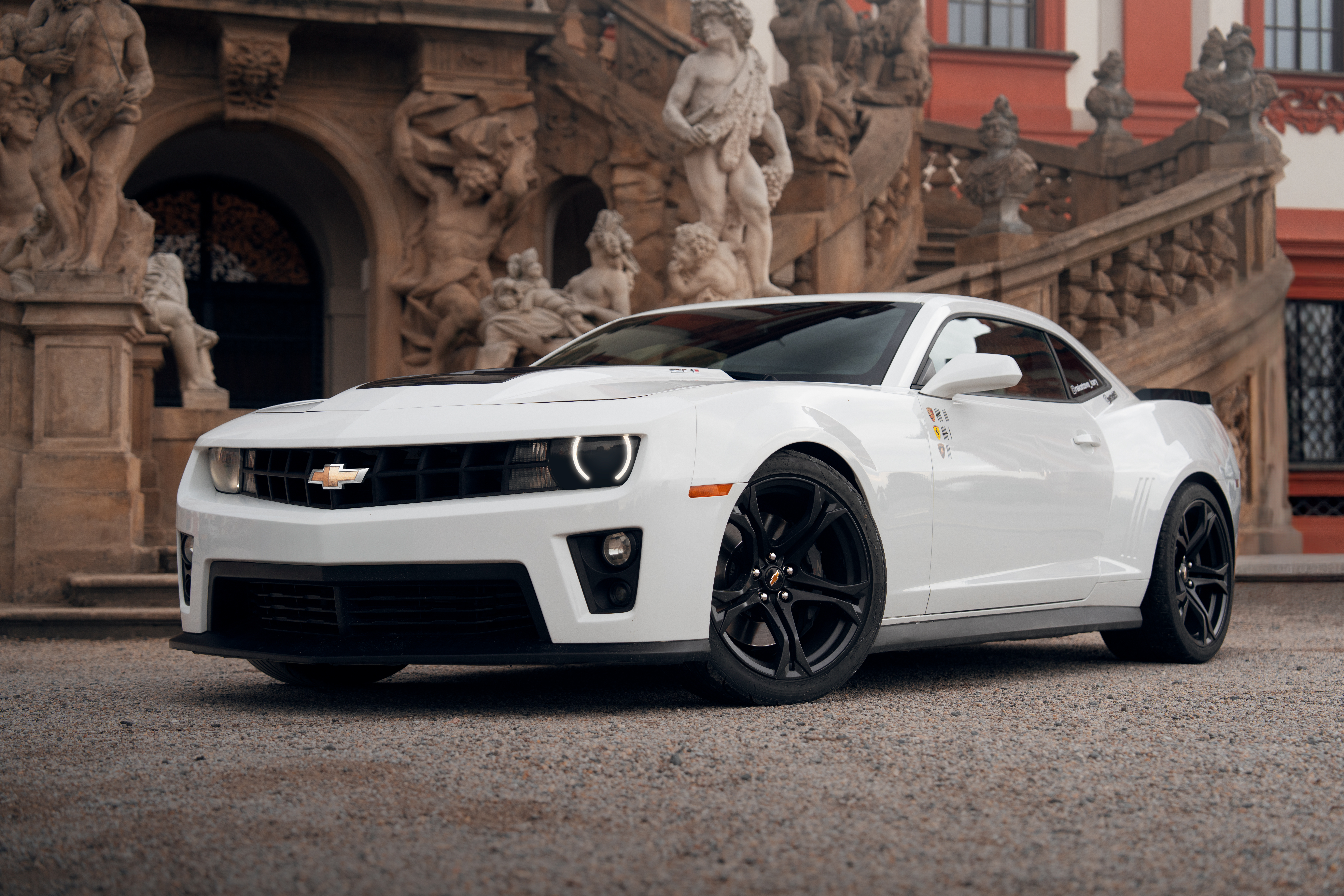 White-ZL1-34